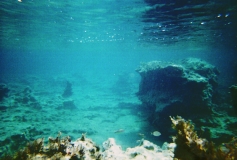 underwater02.jpg